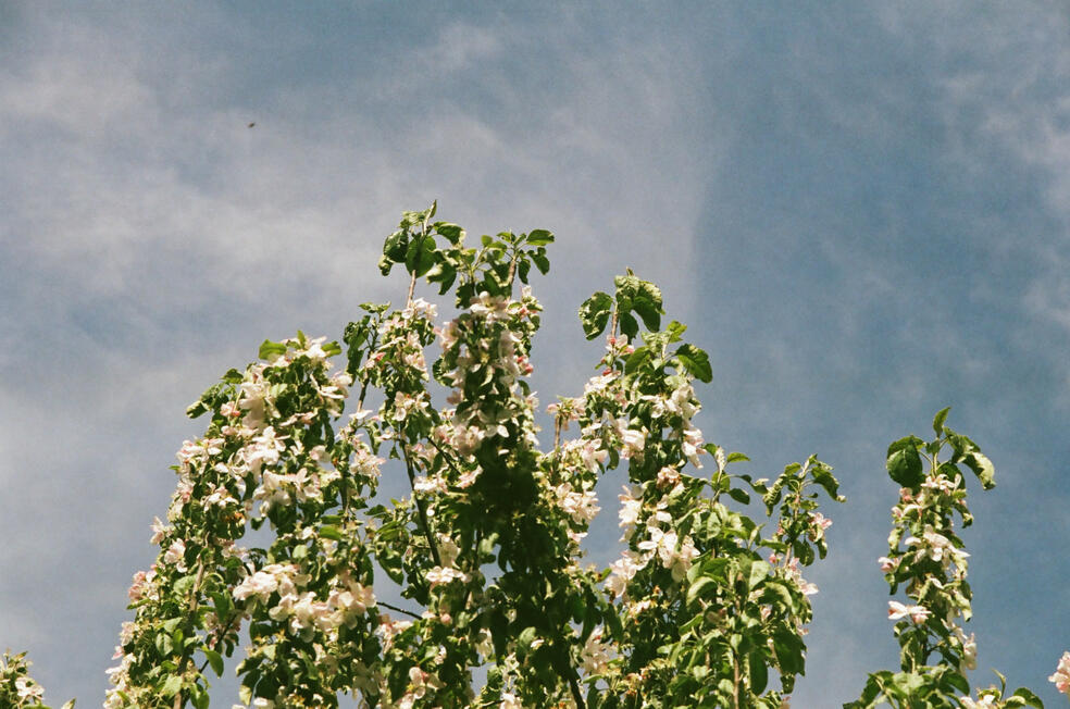 Untitled Untitled
