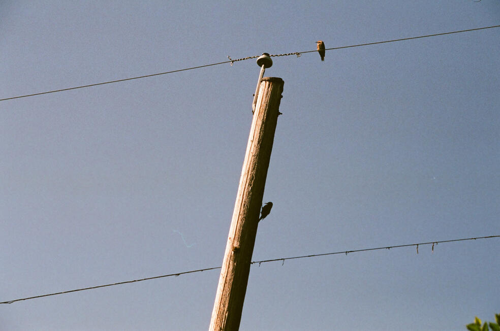 Untitled Untitled